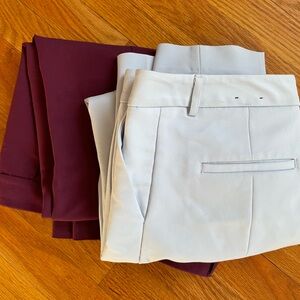 Express Columnist Pants Bundle